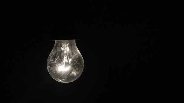 Лампочка в темноте — стоковое видео