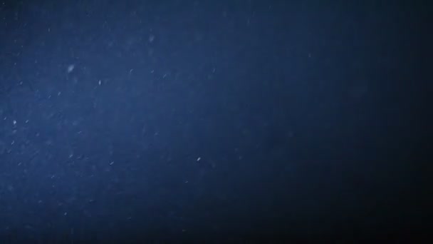 Staub im dunklen, partikelfreien Hintergrund — Stockvideo