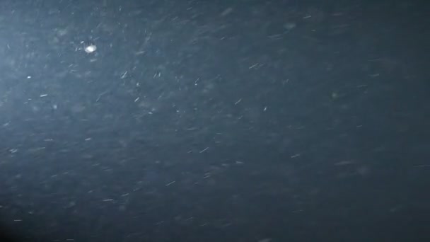 Пыль на бесшовном фоне темных частиц — стоковое видео
