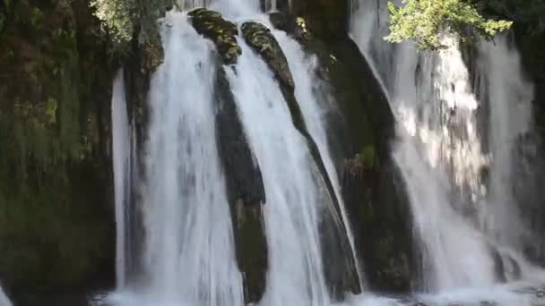 Cascada con agua dulce — Vídeo de stock