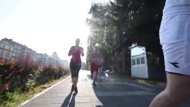 Skupina lidí jogging — Stock video