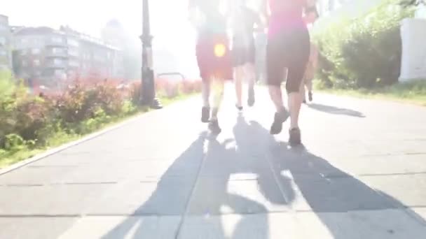 Mensen groep joggen — Stockvideo