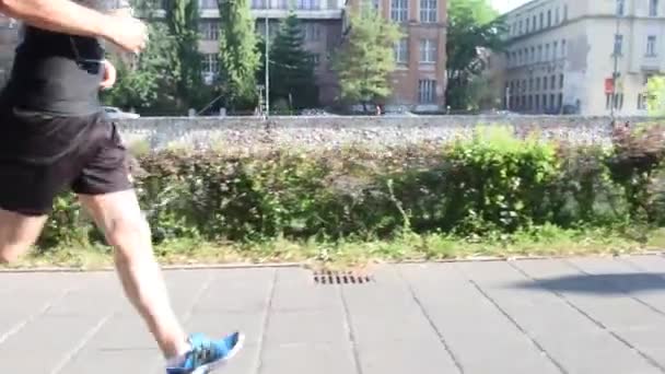 Skupina lidí jogging — Stock video