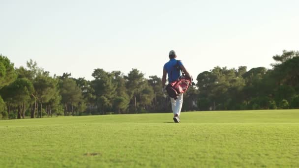 Golfspeler wandelen — Stockvideo
