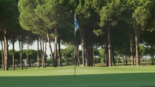 Giocatore di golf stanno sparando — Video Stock