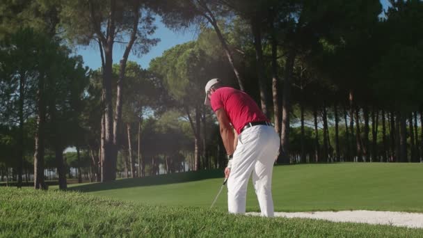 Joueur de golf sont shoting — Video