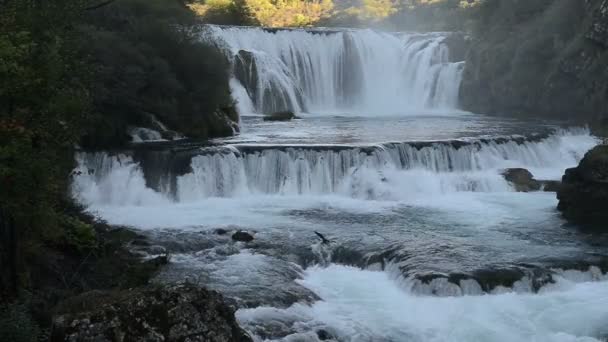 Водопад со свежей водой — стоковое видео
