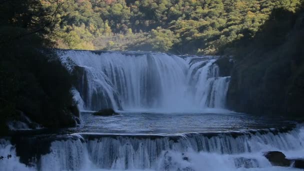清水の滝 — ストック動画