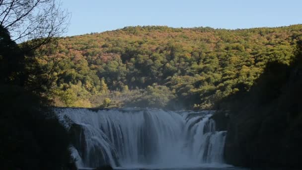 Waterfall with fresh wate — Stock Video