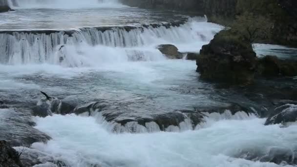 Cascada con agua fresca — Vídeos de Stock