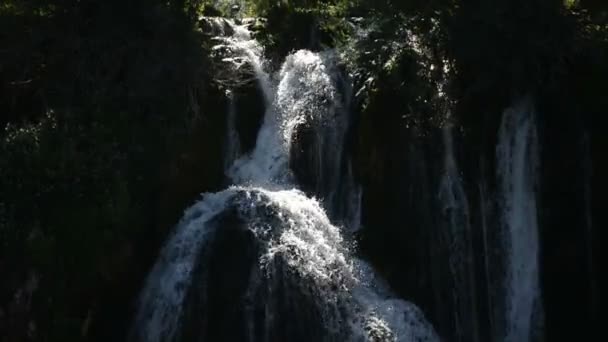 Cascata con acqua fresca — Video Stock