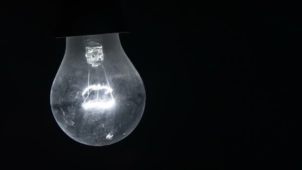 Ampoule dans l'obscurité — Video