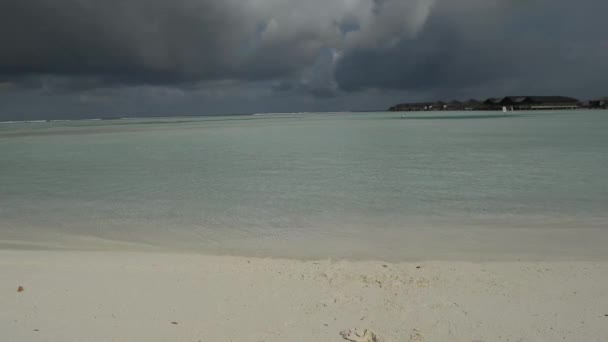 남자와 여자, 젊은이 열 대 백색에 모래 해변 — 비디오