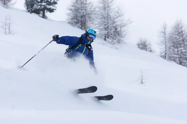 Freeride σκιέρ σκι στο χιόνι κονιοποιεί βαθιά — Φωτογραφία Αρχείου