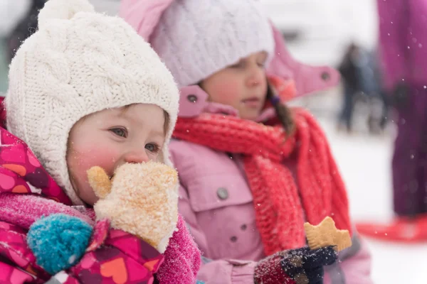 Portrét dvou malých grils na sáňky — Stock fotografie