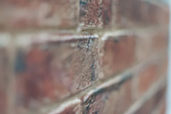 Backsteinmauer Hintergrund — Stockfoto