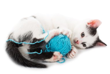 Kitten spelen met de bal van garen