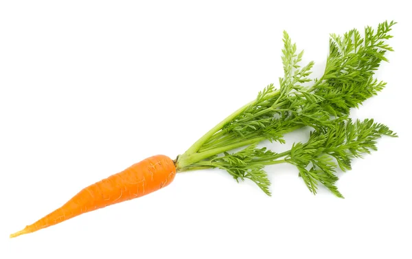 Carrot with leaves — Stock Photo, Image