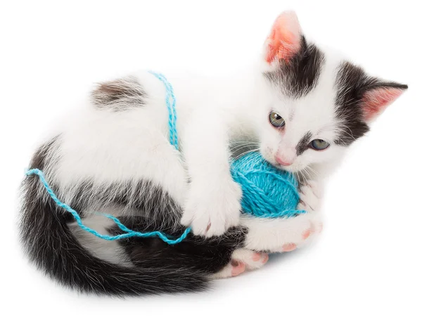 Gatito jugando con bola de hilo — Foto de Stock