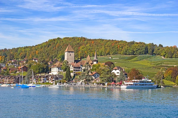 Castello Spiez Sul Lago Thun Regione Jungfrau Cantone Berna Svizzera — Foto Stock