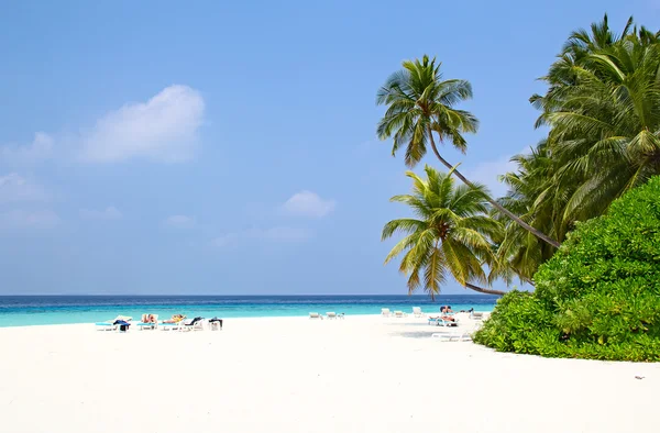 Île Des Maldives Paradis Sous Les Tropiques — Photo