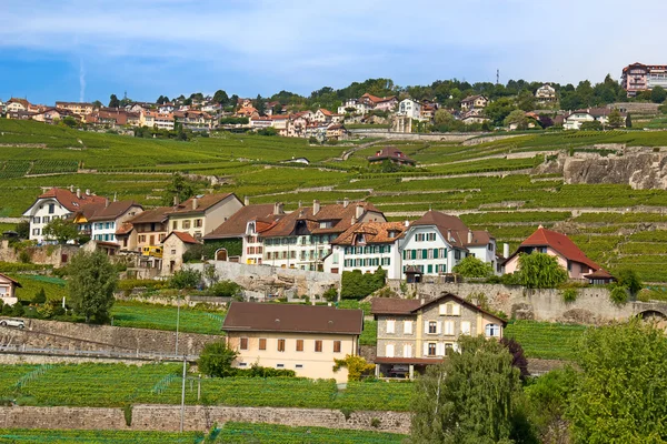 Região de Lavaux, centro de produção de vinha na Suíça — Fotografia de Stock