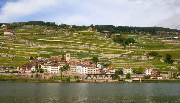 沃地区，在瑞士的葡萄生产中心 — 图库照片