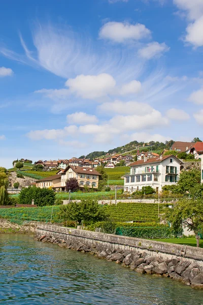 Oblast Lavaux, centrum produkce vinné révy ve Švýcarsku — Stock fotografie