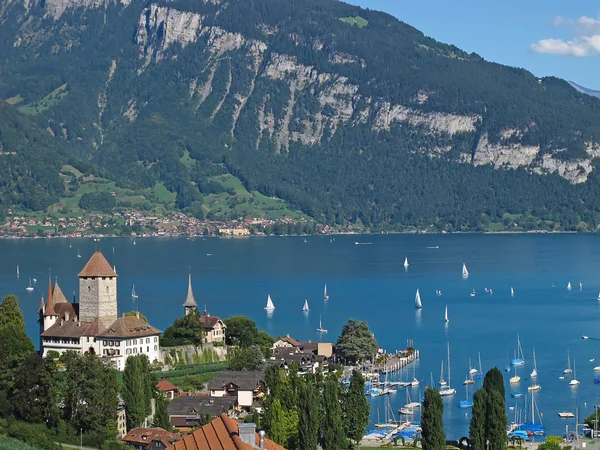 Paysage de la région alpine — Photo