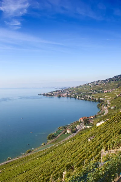 Regionu Lavaux, centrum produkcji winorośli w Szwajcarii — Zdjęcie stockowe