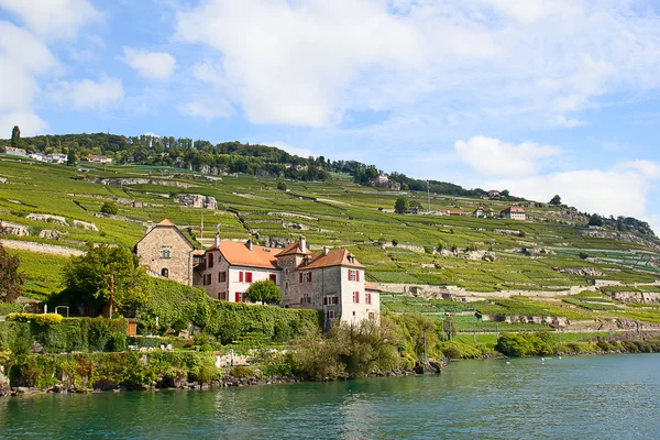 Región de Lavaux centro de la producción de vid en Suiza —  Fotos de Stock