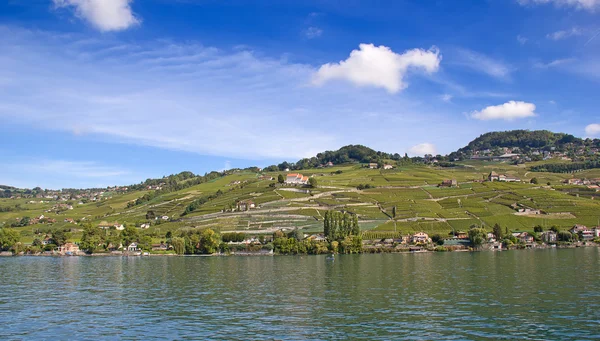 Centrum regionu Lavaux produkce vinné révy ve Švýcarsku — Stock fotografie