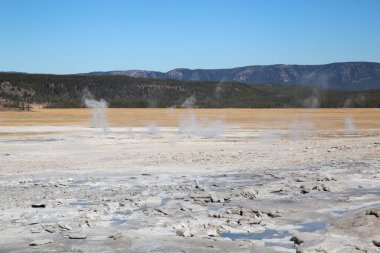 Yellowstone Ulusal Parkı 'ndaki düşük gayzer havzası, ABD