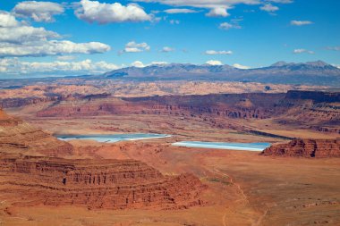 Utah, ABD 'deki Canyonlands Narional Park yakınlarındaki Ölü Atlar Eyalet Parkı