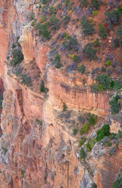 Büyük Kanyon 'un Güney Halkası. Arizona 'daki 