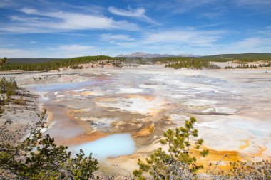 Norris gayzer havzası Yellowstone Ulusal Parkı, ABD