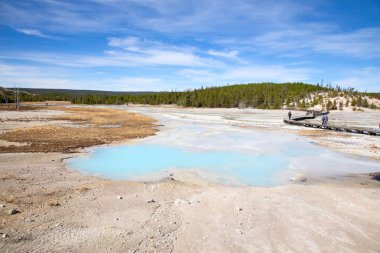 Norris gayzer havzası Yellowstone Ulusal Parkı, ABD