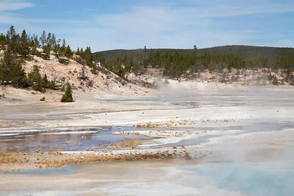 Cuenca Del Géiser Norris Parque Nacional Yellowstone Estados Unidos — Foto de Stock