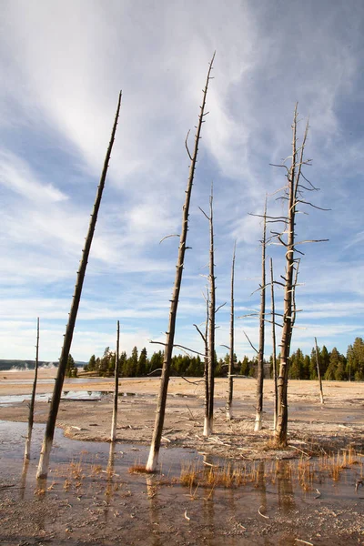 Dolní Gejzír Yellowstonském Národním Parku Usa — Stock fotografie