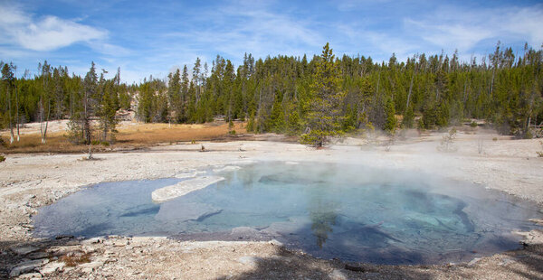 Norris geyser basin in the Yellowstone National park, USA