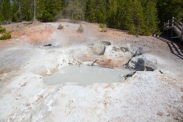 Bacia Geyser Norris Parque Nacional Yellowstone Eua — Fotografia de Stock