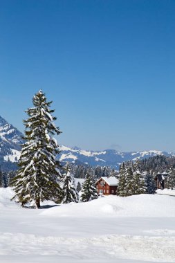 İsviçre 'nin Santis Dağı yakınlarındaki İsviçre Alplerinde kış