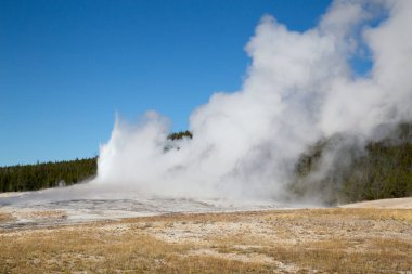 Yellowstone Ulusal Parkı 'nda gayzer patlaması, ABD
