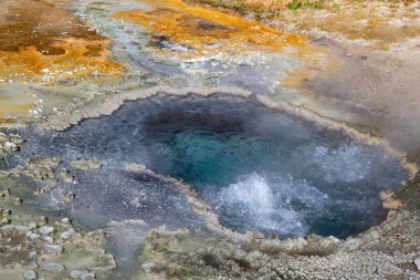 Yellowstone Ulusal Parkı, ABD 'de renkli sıcak su havuzu