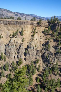 Yellowstone Ulusal Parkı, Wyoming, ABD 'deki Calcite yayları