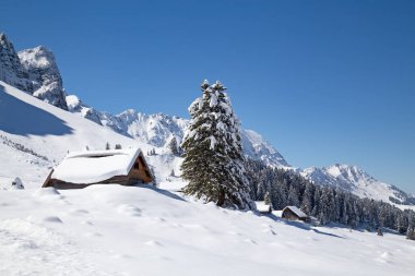 İsviçre 'nin Santis Dağı yakınlarındaki İsviçre Alplerinde kış