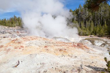 Norris gayzer havzası Yellowstone Ulusal Parkı, ABD