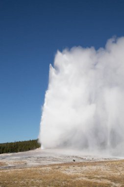 Yellowstone Ulusal Parkı 'nda gayzer patlaması, ABD