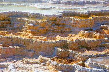 Yellowstone Ulusal Parkı 'ndaki Mamut Kaplıcaları, Wyoming, ABD