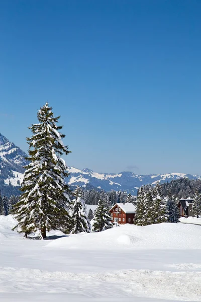 スイスのサンティス山近くのスイスアルプスの冬 — ストック写真